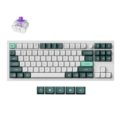 cover-picture-q3h-p1.png