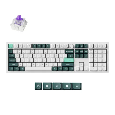 cover-picture-q6h-p1.png