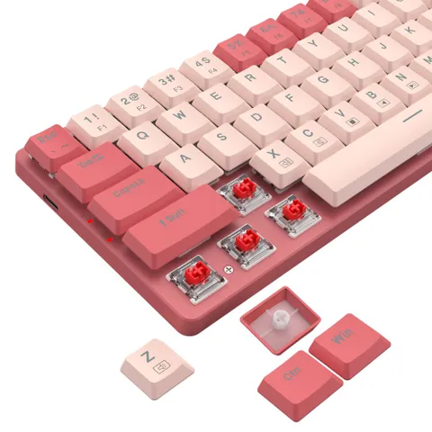 rd-bs-8772rp-5.png