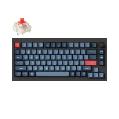 cover-picture-v1m-d1.png