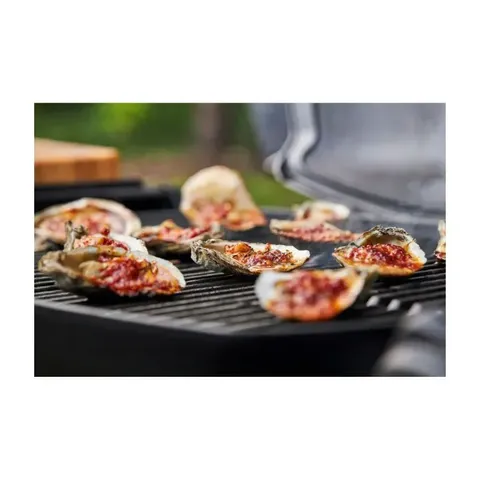weber-q3200n-red-premium-cart-with-gas-braai-1501145-03