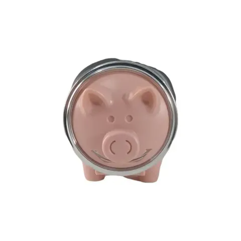 piggy-bank-pink-2