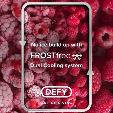 defy-frost-free-bottom-freezer-frost-free