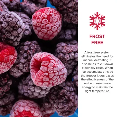 defy-375l-upright-fridge-dfd448-06