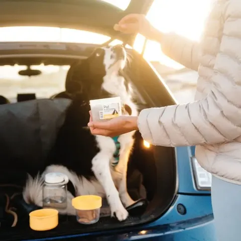 locknlock-pet-wet-and-dry-food-storage-container