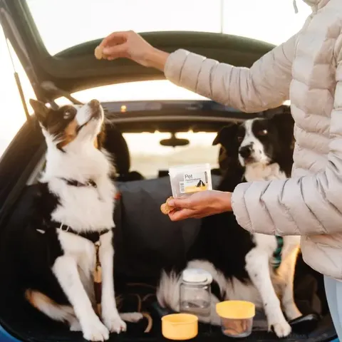 locknlock-pet-large-wet-and-dry-food-container