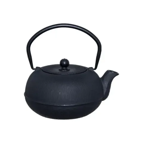 trans-verti-700ml-cast-iron-tea-pot