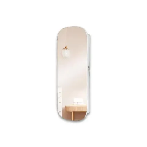 home4u-storage-mirror-sm100s-01