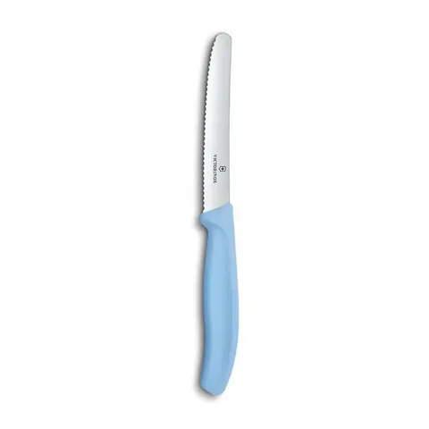 victorinox-sky-blue-steak-knife-v6.7832.e284