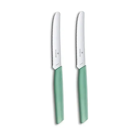 victorinox-swiss-mint-table-knife-2-piece-set-v6.9006.11w41b-01