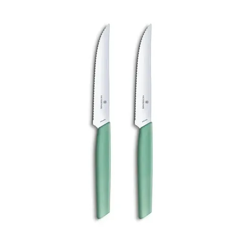 victorinox-swiss-modern-mint-pizza-steak-knife-2-piece-set-v6.9006.12w41b-01