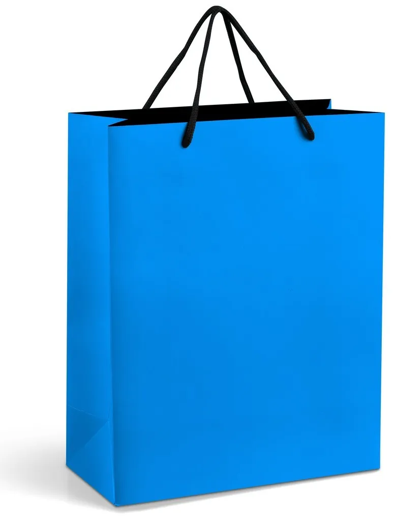 Altitude Omega Midi Paper Gift Bag