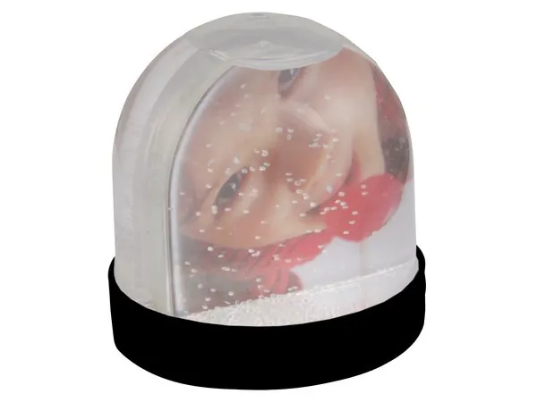Picture Snow Globe