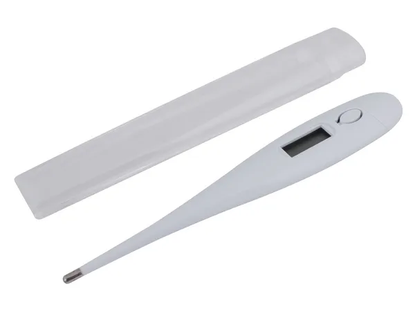 Digital Thermometer | Creative Brands