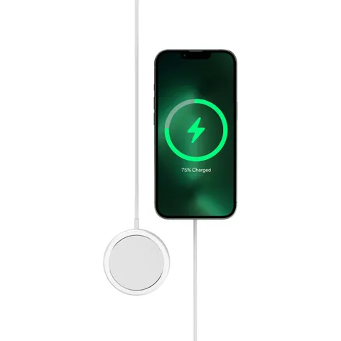 APAADMP3WH-5.jpg