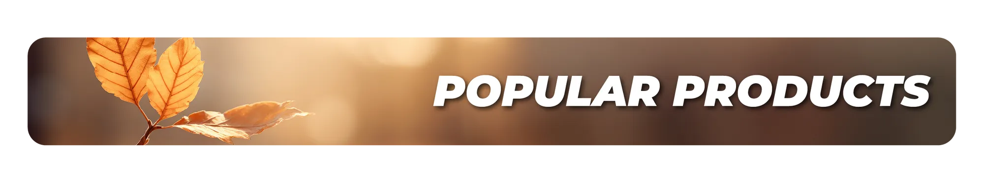 Popular Product