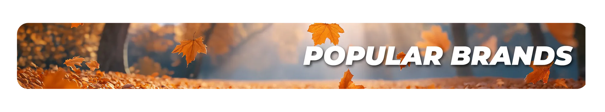 Popular Brands