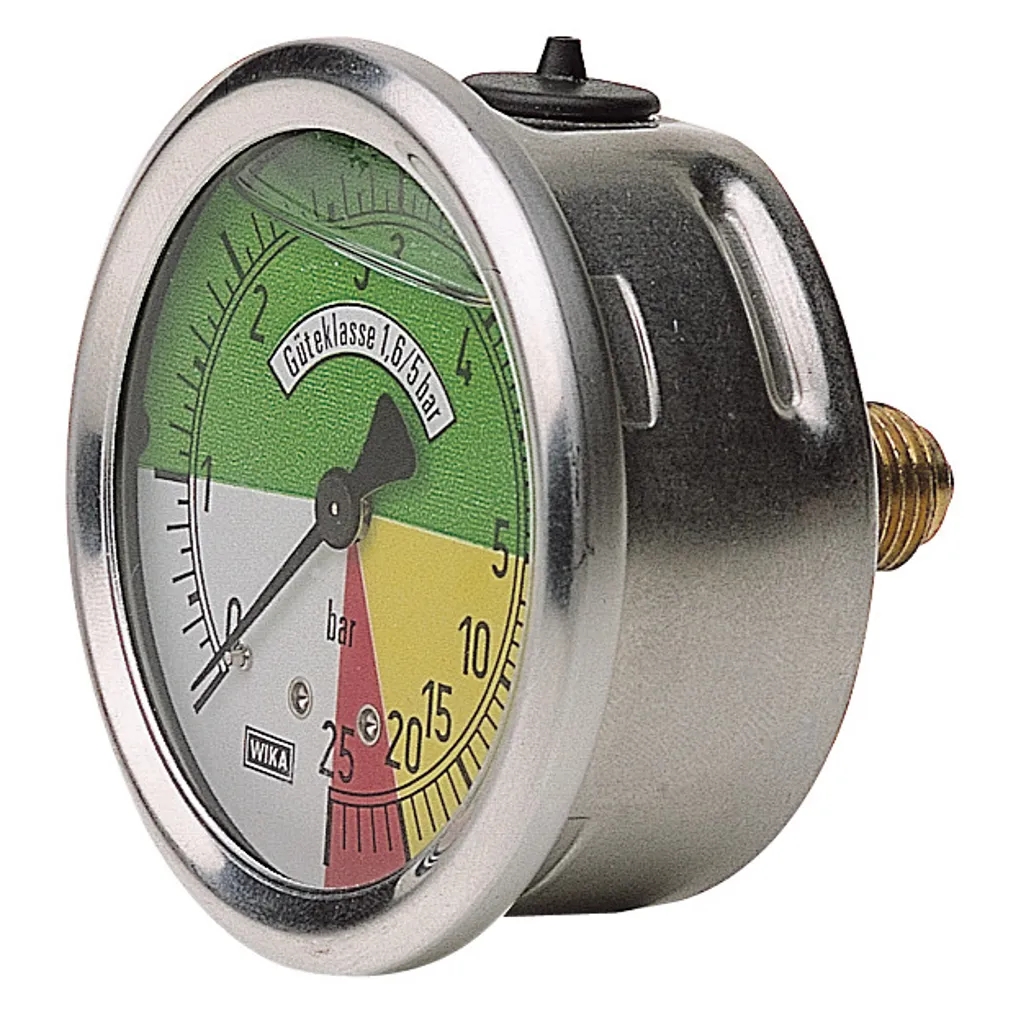 Isometric Gauge Rovic Leers