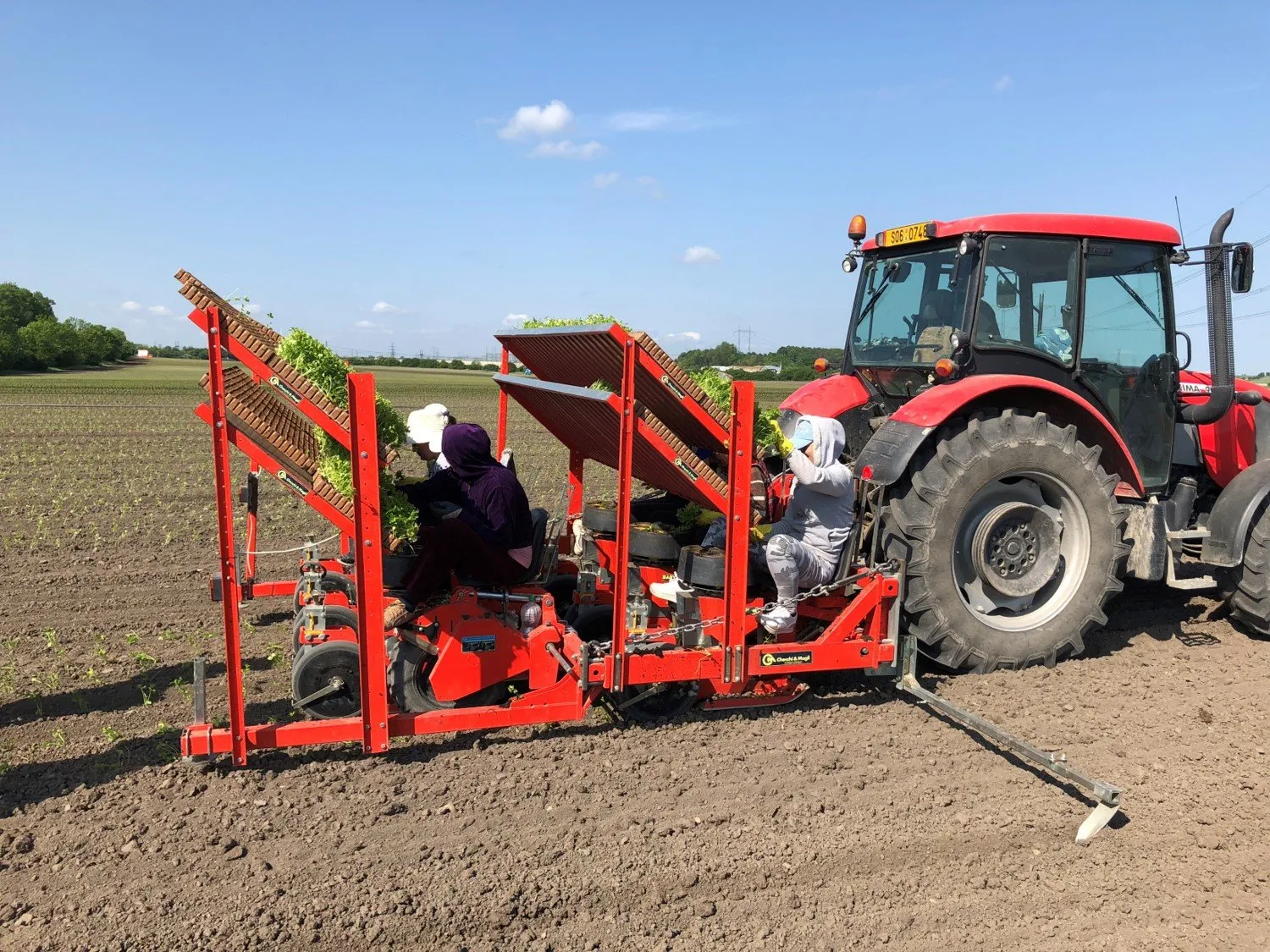 Rotary Cup Transplanter Unitrium | Rovic