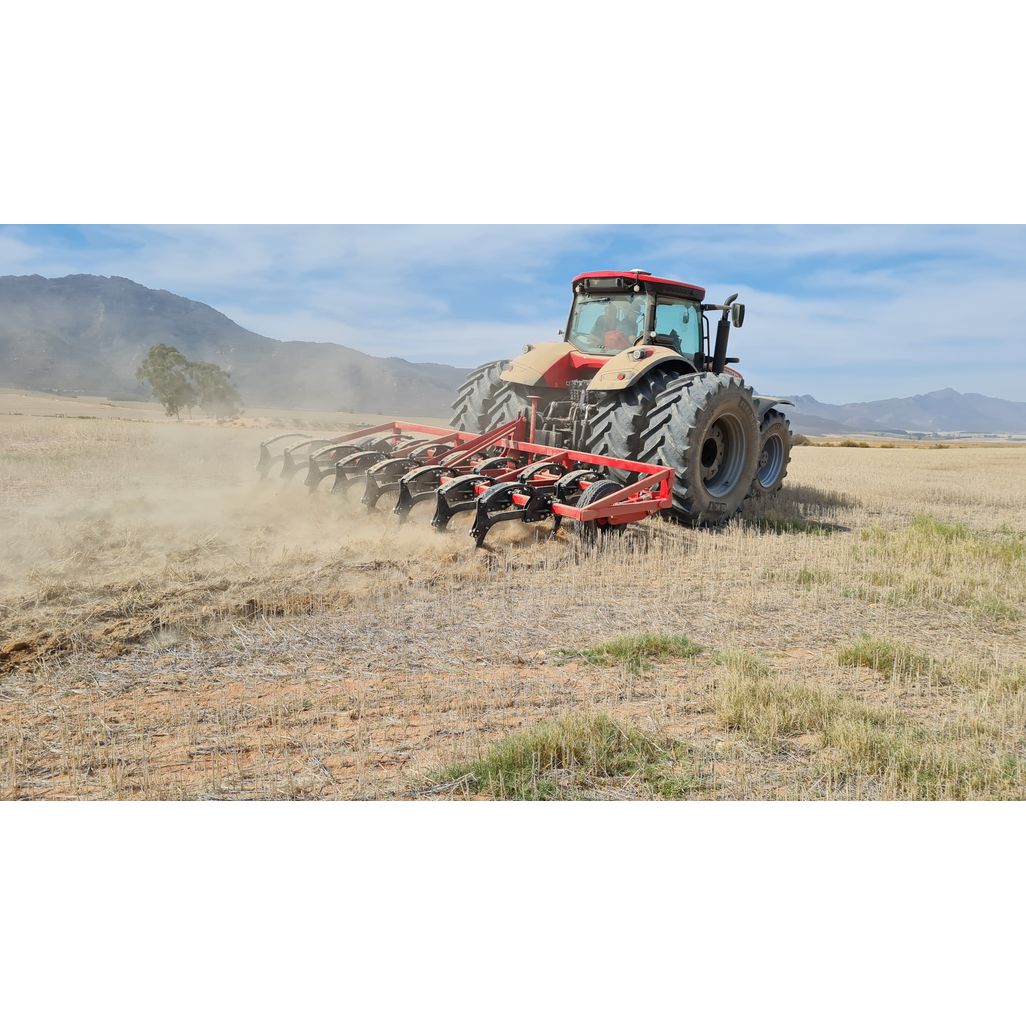 Super 19 Rippers | Rovic