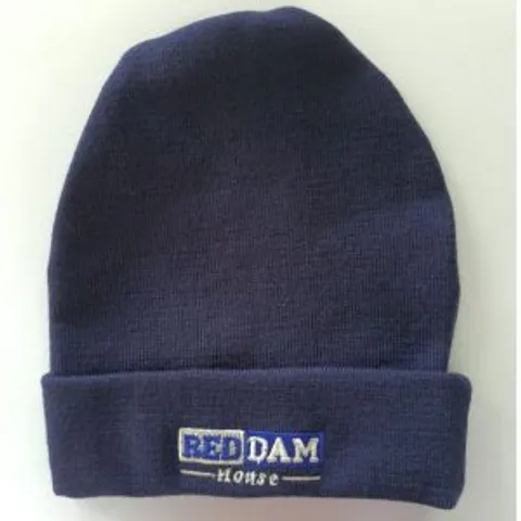 RH-Beanie-Navy.jpg