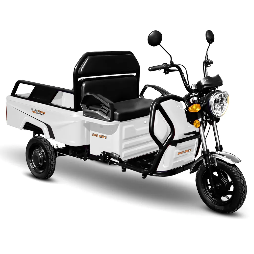 3 wheel bicycles for sale in south africa TOWN & COUNTRY and give them safe and comfortable riding Elec-Trike 800W ELECTRIC UTV |