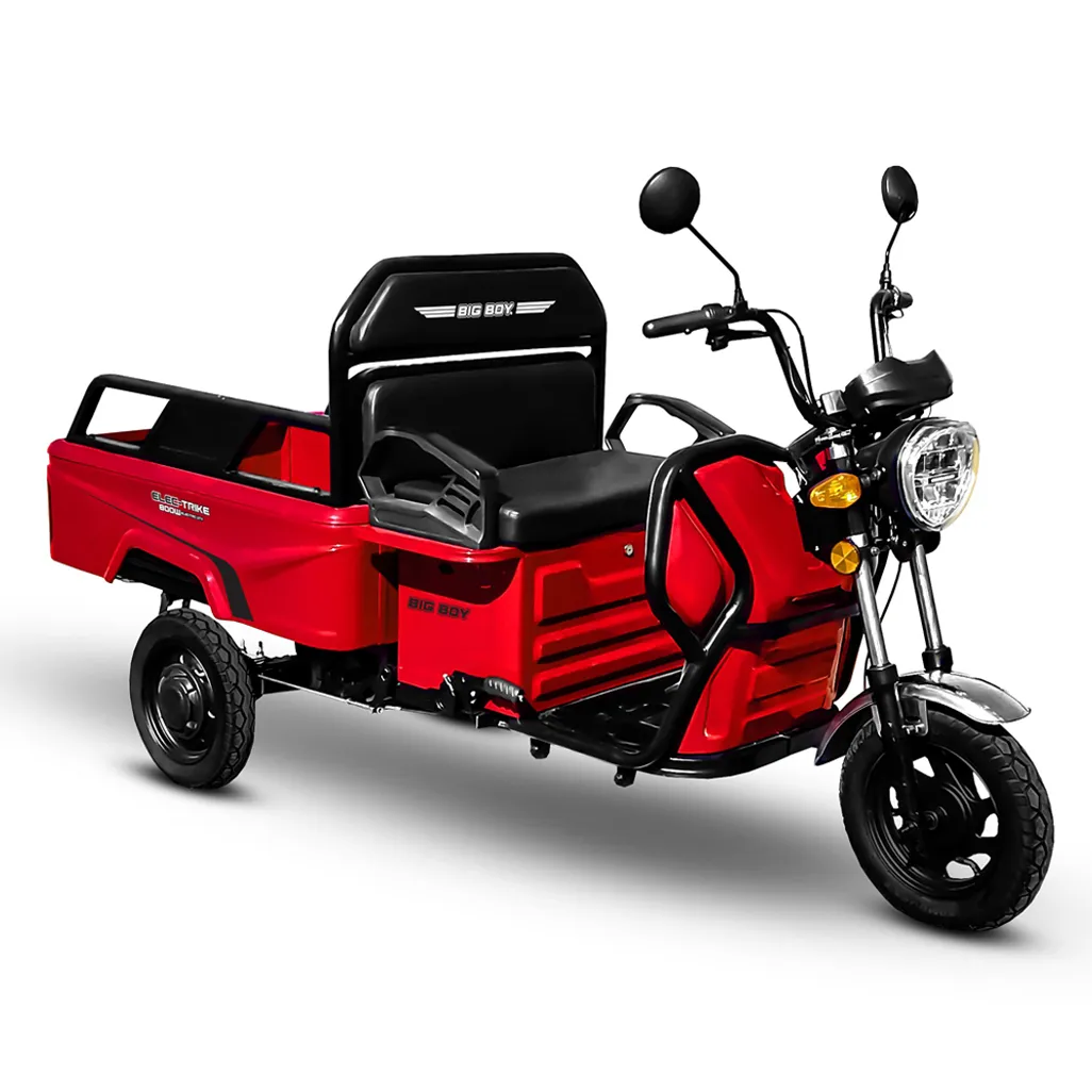 Big boy tricycle store