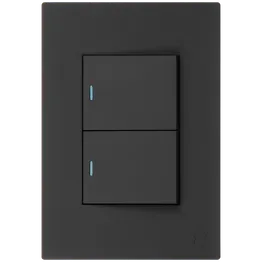 Ellies 2 Lever 1 Way Switch 2x4 (60mmx100mm) -BK