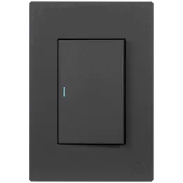Ellies 1 Lever 2 Way Switch 2x4 (60mmx100mm) -BK