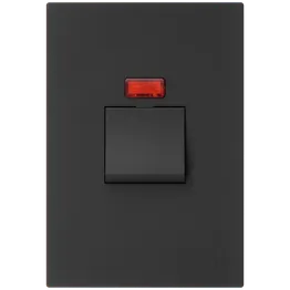 Ellies 32A 2 Pole Isolator Switch with Light 2x4 (60mmx100mm) -BK