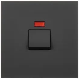 Ellies 50A 2 Pole Isolator Switch with P/Light 4x4 (100mmx100mm) -BK