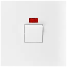 Ellies 50A 2 Pole Isolator Switch with P/Light 4x4 (100mmx100mm) -WT