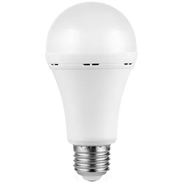 Switched 9w A60 Rechargeable LED Light Bulb E27 - Cool White