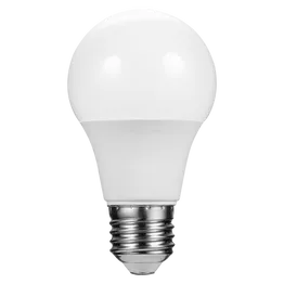 Switched 7w A60 Light Bulb E27 - Cool White