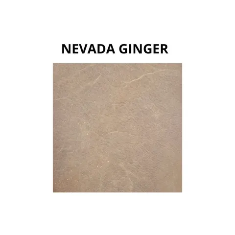 Nevada Ginger Swatch