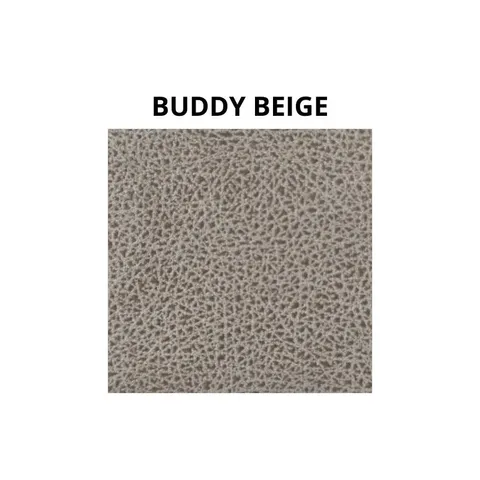 Buddy Beige Swatch