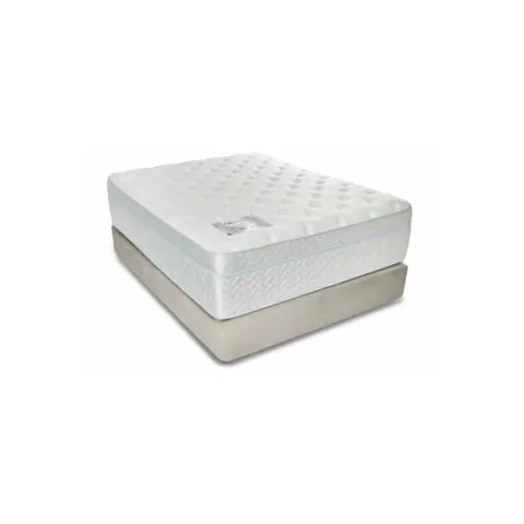 Rest Assured Orchestra Queen Bed Set