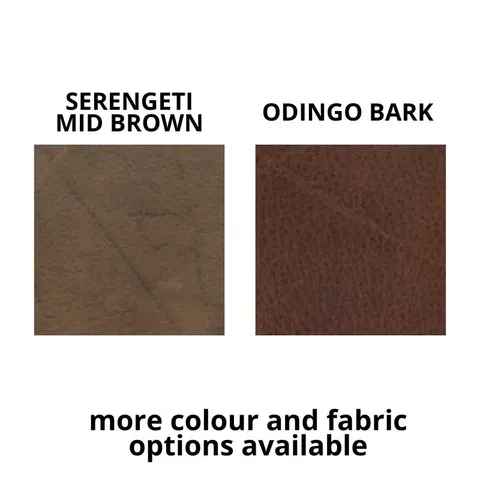 Alpine Lounge Sitara Chair Swatch