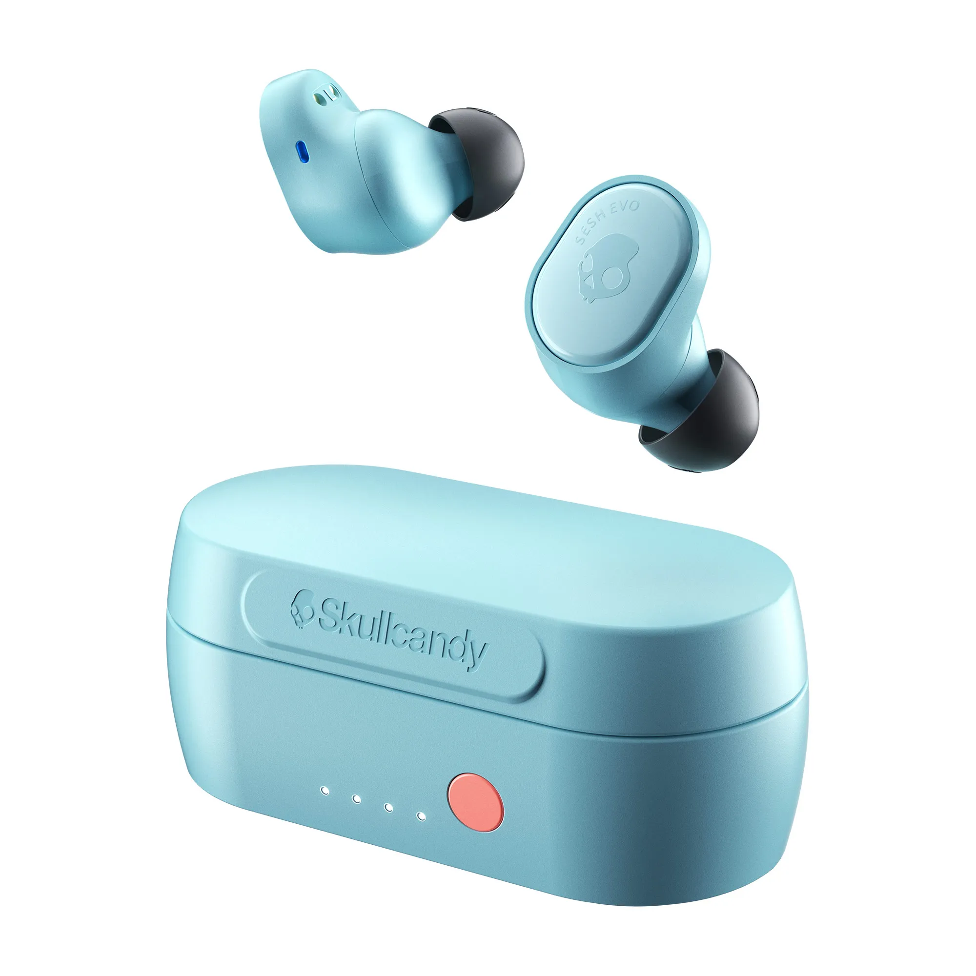 Skullcandy on sale in ear