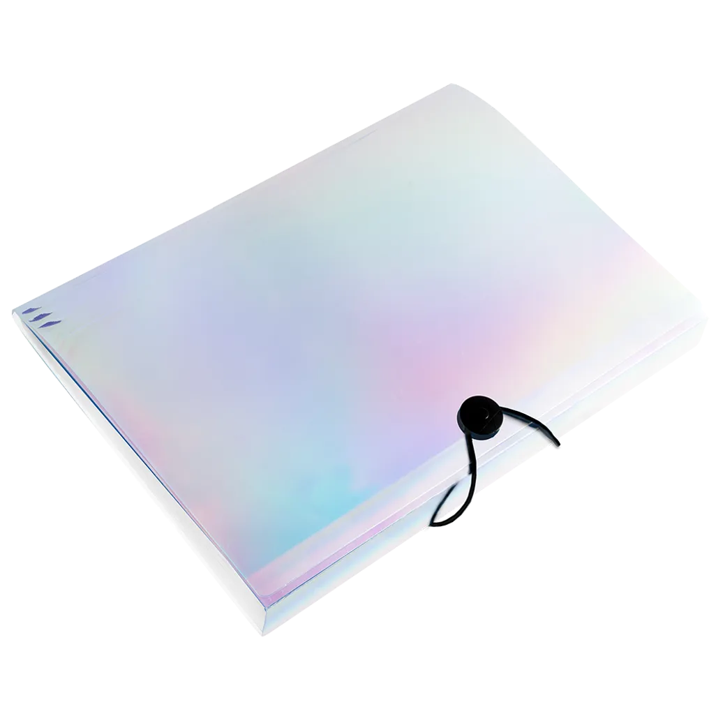Waltons Primeline Novelty Expanding File 13 Division Holographic (Each