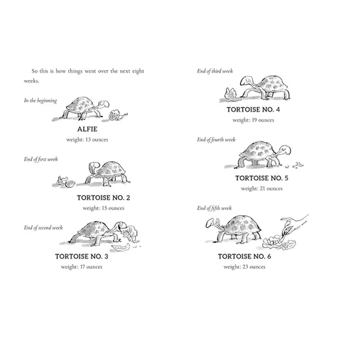 esio-trot3