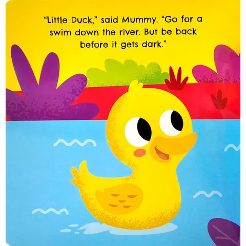 duck1