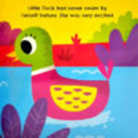 duck3