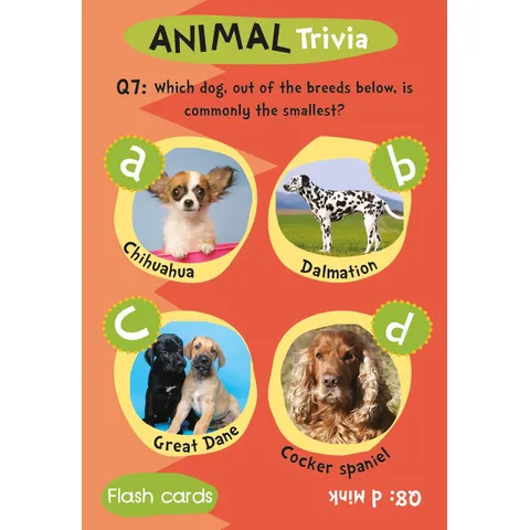 animal2