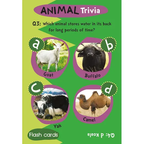 animal3