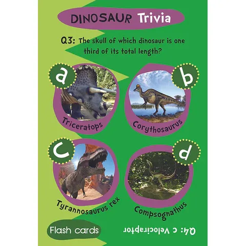 din1