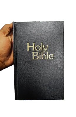 9788472088825