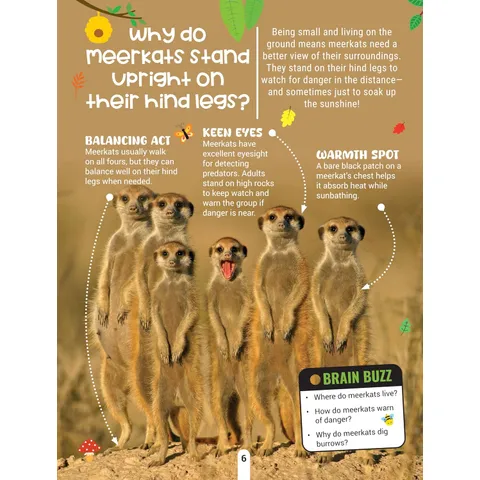 wild5
