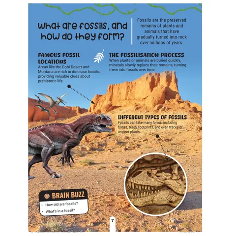 dino4