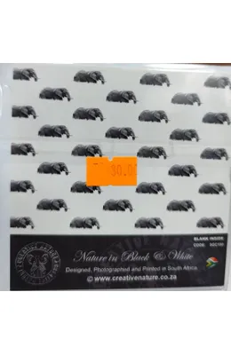 mvimg-20250918-130758